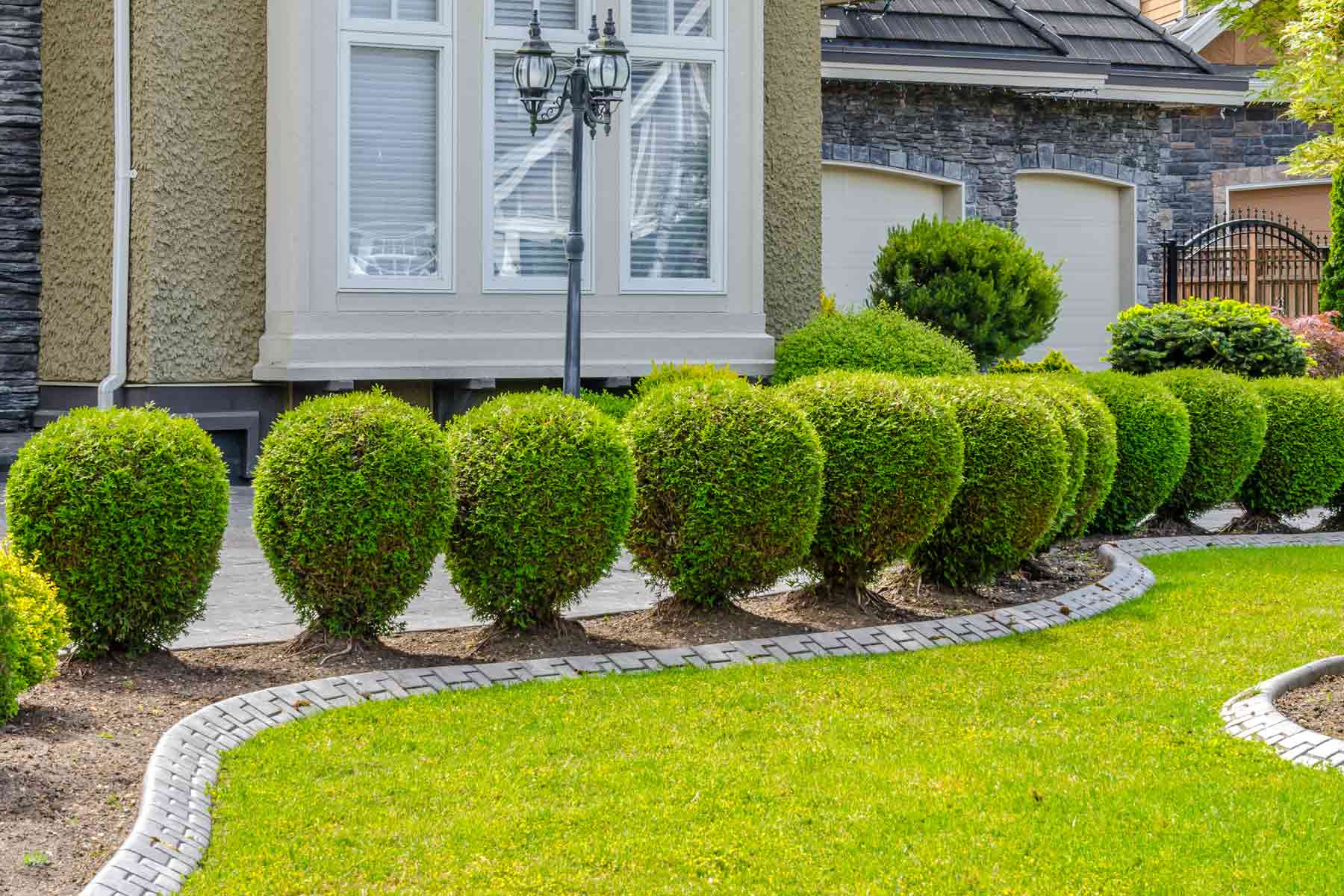Ornamental tree and shrub care